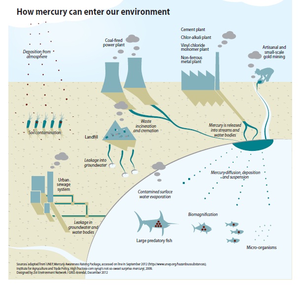 how mercury can enter our environment